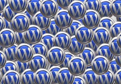 Connaître le thème WordPress d’un site Internet Connaître le thème WordPress d’un site Internet
