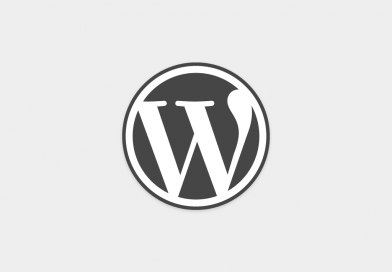 WordPress installation extensions sans page ftp